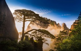 错过等一年！杭州娃秋假0元游黄山，狂炫美食还避国庆人潮，附三日游攻略！