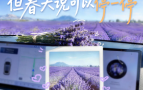 神州租车清明营销复盘：从功能输出到情绪共鸣的路径探索