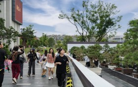 鹿鸣山文化院街盆景展焕新亮相文脉升级，以非遗盆艺铸就城市人文地标