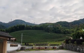绍兴文理学院项目组解码浙江乡村文化与经济协同发展密码