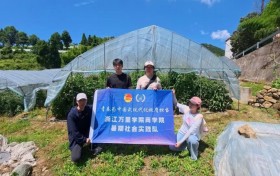 高山番蔬飘香，青春赋能盘前共富